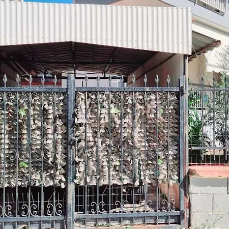 Frida's Urban Escape *