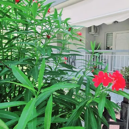 Frida's Urban Escape *